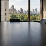 Vedere spre Manhattan și Central Park